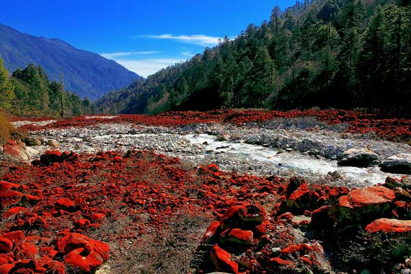 雅家梗紅石灘公園