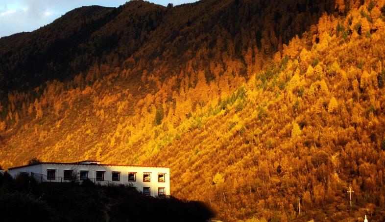 成都、四姑娘山、長坪溝3日自駕游