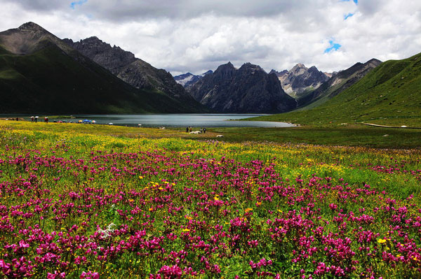 成都租車川西北環線7日游+-年保玉則+草原花海+九寨溝